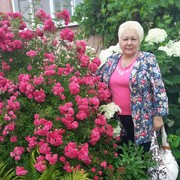  ,   , 75 ,  
