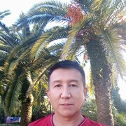  ,   , 41 ,     , c 