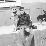 ���������� �������, ���� ������� ���������, 29 ���, ������������ ��� ������, ����� � ���������, c�������� ���������