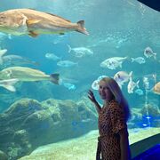 ���������� ������, ���� ������� �����, 46 ���, ������������ ��� ������, ����� � ���������, c�������� ���������, ���������