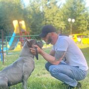 ���������� �����������, ���� ������� �����, 37 ���, ������������ ��� c�������� ���������