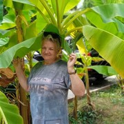 ���������� �����, ���� ������� �����, 65 ���, ������������ ��� ������, ����� � ���������