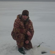 ���������� �����-���������, ���� ������� Vasechkin, 46 ���, ������������ ��� ����� � ���������, c�������� ���������