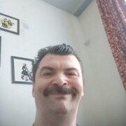  -,   , 43