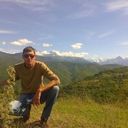  ,  virus, 36