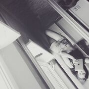 ���������� ������, ���� ������� �����, 36 ���, ������������ ��� ������, ����� � ���������