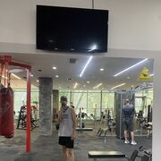 ���������� �������, ���� ����� Nikola, 21 ���, ������������ ��� ������, ����� � ���������