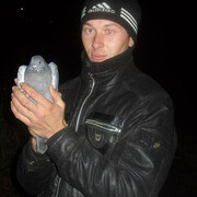 ���������� ��������, ������� ���������, 41