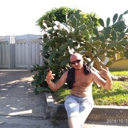  ,   , 38 ,   