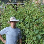 ���������� �����������, ���� ������� ����, 58 ���, ������������ 