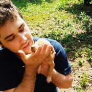  --,   Guilherme, 30 ,   ,   