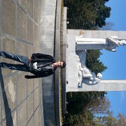 ���������� ������������, ���� ������� ����, 40 ���, ������������ ��� c�������� ���������