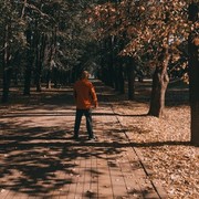  ,   , 33 ,     , c 