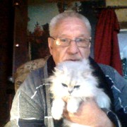  ,   , 66 ,   