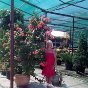  ,   , 63 ,  