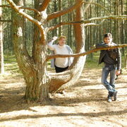 ���������� �����������, ���� ������� ���������, 42 ����, ������������ 