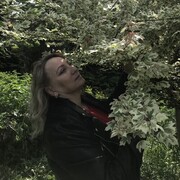 ���������� ����������, ���� ������� �����, 48 ���, ������������ 