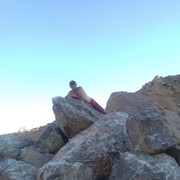 ���������� ������ ��������, ���� ������� Aidos, 52 ����, ������������ ��� ������, ����� � ���������, c�������� ���������