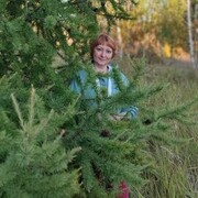 ���������� ������, ���� ������� �����, 56 ���, ������������ ��� ������, ����� � ���������, c�������� ���������, ���������