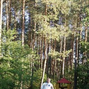 ���������� �����, ���� ������� �����, 41 ���, ������������ 