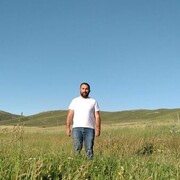  ,   , 43 ,   ,   