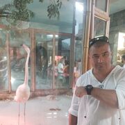 ���������� ������ �����, ���� ������� ˸��, 46 ���, ������������ ��� ����� � ���������, c�������� ���������