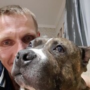 ���������� ����������, ���� ������� ����, 43 ����, ������������ ��� ������, ����� � ���������, c�������� ���������