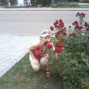 ���������� ���������, ���� ������� ������� 28, 41 ���, ������������ ��� ����� � ���������, c�������� ���������