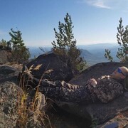 ���������� �����������, ���� ������� �������, 28 ���, ������������ ��� ������, ����� � ���������