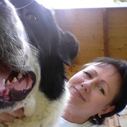 ���������� ������, ���� ������� �������, 54 ����, ������������ ��� ����� � ���������, c�������� ���������