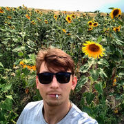 ���������� ��������, ���� ������� ������, 38 ���, ������������ ��� ������, ����� � ���������, c�������� ���������