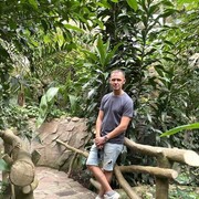 ���������� �����, ���� ������� �����, 38 ���, ������������ ��� ������, ����� � ���������