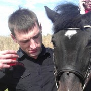 ���������� ��������������, ���� ������� Poli, 40 ���, ������������ ��� ������