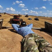 ���������� ������, ���� ����� �������, 22 ����, ������������ ��� ������, ����� � ���������, c�������� ���������