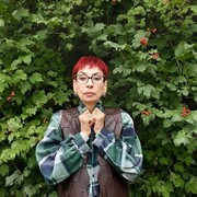 ���������� ������, ���� ������� ������, 65 ���, ������������ ��� c�������� ���������