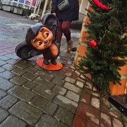 ���������� ������-��-����, ���� ������� �����, 42 ����, ������������ ��� ����� � ���������, c�������� ���������