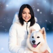 ���������� ������, ��������