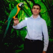  ,   Alexey2201, 33 ,  