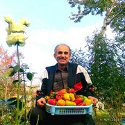  ,   , 70 ,   ,   , c 