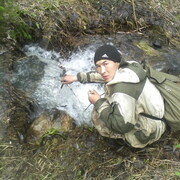 ���������� �����������, ���� ������� ������, 38 ���, ������������ ��� ������, ����� � ���������