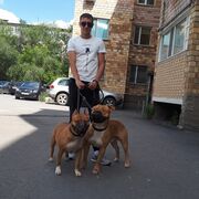 ���������� ���������, ���� ������� ������, 36 ���, ������������ ��� ������, ����� � ���������, c�������� ���������, ���������