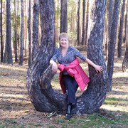  ,   , 58 ,  