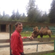 ���������� ��������, ���� ������� �������, 43 ����, ������������ ��� ������, ����� � ���������, c�������� ���������, ���������