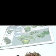 ���������� �����, ���� ����� ����, 19 ���, ������������ ��� ������, ����� � ���������