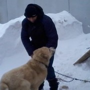 ���������� ������, ���� ������� Givi Georgia, 51 ���, ������������ ��� ������, ����� � ���������, c�������� ���������