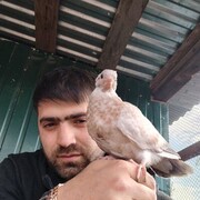  ,   David, 35 ,   ,   