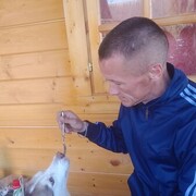 ���������� �������, ���� ������� �����, 43 ����, ������������ ��� ���������