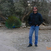  ,   , 53 ,   