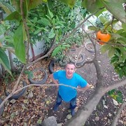  -,   , 48 ,   ,   , 