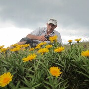 ���������� ����, ���� ������� �����, 100 ���, ������������ ��� ������, ����� � ���������, c�������� ���������